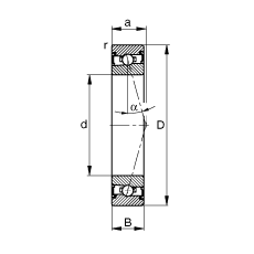 SS HSS71924-C-T-P4S, {(dio)(ji)Ɍ(du)b|  = 15ɂ(c)ܷǽ|Ӈ(yn)
