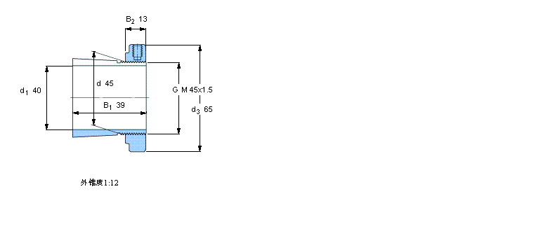 SKF oH309CӱD