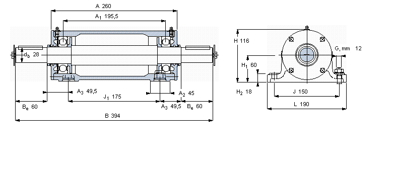 SKF pSІԪ, PDNBԪPDNB207ӱD