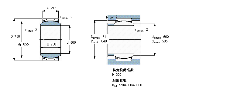 SKF So(h)滬S, /PTFE(f)ϲGEC560FBASӱD